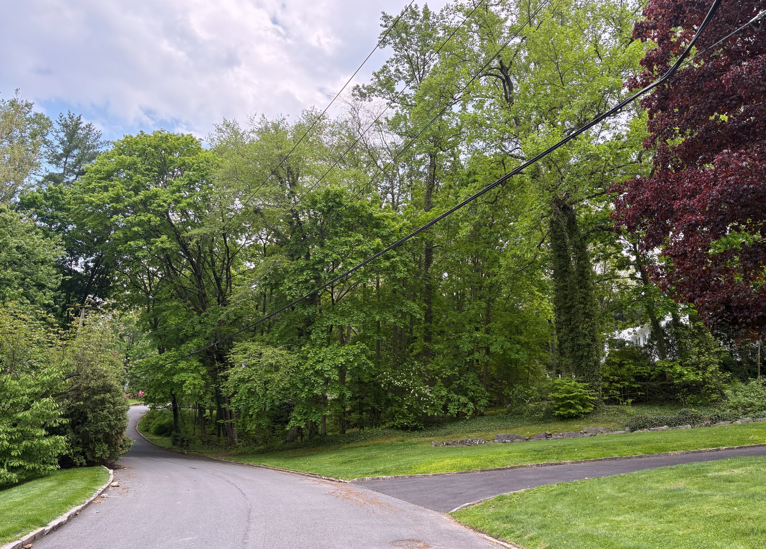 0 Spier lot viewed from Blackbirch Lane toward the south