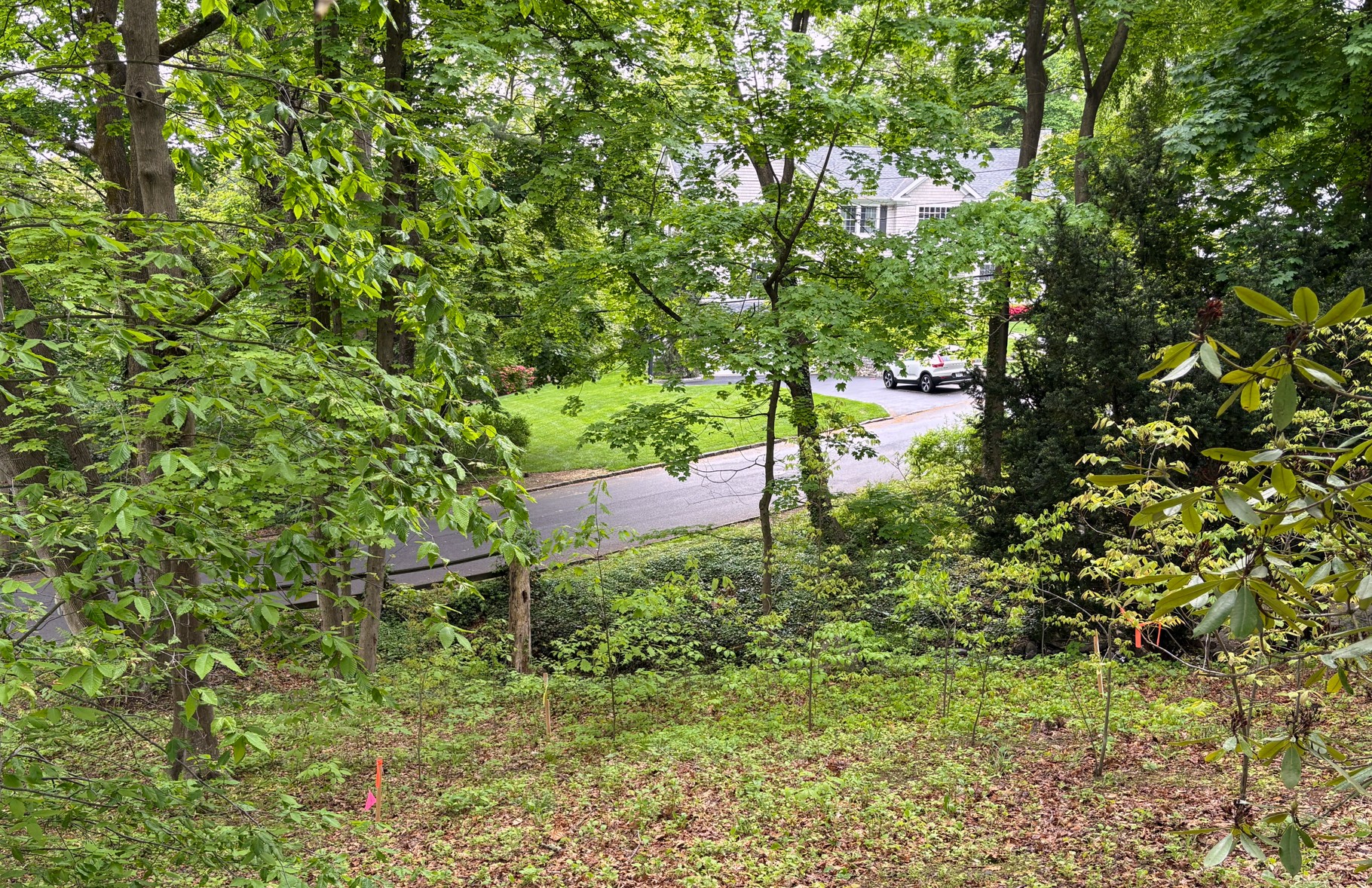 The watercourse running through 0 Spier lot, May 2026